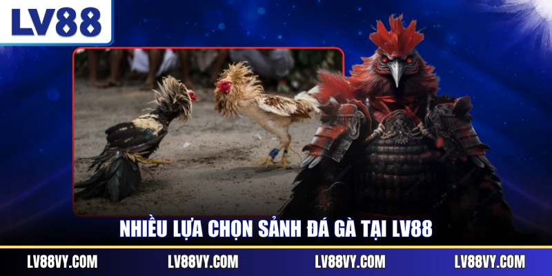 Nhiều lựa chọn sảnh đá gà tại LV88